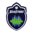 敖德萨海星女足